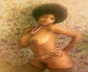 Vintage Ebony from vintage ebony 70s
