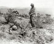 Sgt. Herbert Ohio of Hilo, T.H., views the battered remains of the Communist defenders of Hill 268, which was taken by men of the 5th RCT, 1st Cavalry Division in their advance on Waegwan, Korea. 21 September 1950.[1400x1400] from xxx of bhojpuri monalisa h