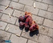 A stuffed animal found covered in blood at the scene of the Kramatorsk Railway Station, which was bombed earlier today. from muslim bhabi hot sex kissindian railway station toilet peeinglonde big boob girl fuck video downloading 3gphate sto