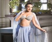 Rituparna Sengupta navel in a lehenga from bengali actress rituparna sengupta hot video song