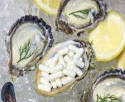 Oyster facts&amp;gt; self promoting thots: zinc can account for 1-5% of oyster total body mass, ~10-50x greater than humans, flys and other bivalves. from wis zinc