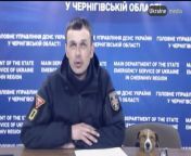 The famous Ukrainian demining dog Patron taking a nap during a joint press conference. from during sleep boobs press
