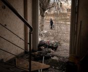 A woman lay dead with two dogs in a doorway of a building, a casualty of Russian shelling, in Bakhmut. By New York Times Photographer, Nicole Tung. from two dogs mating with