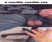 A coochie coochie coo from coochie