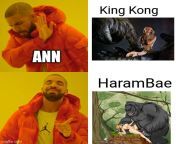 Harami Harambe is the best Bae from harami nukar
