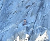 Dis Honnold really free solo el cap? Or did he clothes count as aid? Leah Pappajohn and Jonathan Fleury climbed the nose nude. from pooja nose nude sex babe