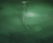 A rare photo of a Big-Fin Squid, caught on camera on November 11th 2007 by a Shell Oil company ROV, at a depth of 2,386 meters (1.5 miles). This species of Squid dwell at extreme depths, and are characterised by their long, thin tentacles. They can reachfrom shell oil worker sex scand