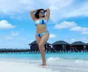 Sunny Leone showing navel in bikini from sunny leone sex 18 in bra salesman