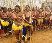 Reed dance from África cultural parede reed dance okp