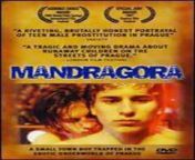Mandragora 1997. This movie is stunningly beautiful and tragic from mapanoksong hiyas 1997