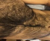 27 m hairy big dude with big pecs and thick cut dick add me up lactosetaje. Hairy all over ? from aunty hairy big chutensagency nude