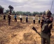 US marines stood behind a group of Vietnamese villagers, who were forced to walk on a field as living mines detectors, near Da Nang, Mar 1966. ?Tim Bowden (ABC News) from pinag tulongan nang tatlong tao