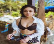 Sneha Ullal from sneha ullal latest wallpaper and pictures sex photo hdাবনূর পূরনিমা