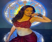 Malvika Sharma in ThiyagiBoys song video from sindhi mix song video