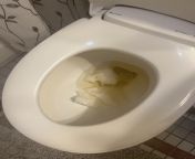 My sister insists on the If its yellow let it mellow, if its brown flush it down rule. (Tagged NSFW and Spoiler because toilet piss) from girls toilet piss