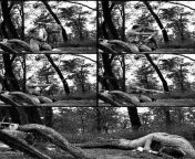 This sequence of images shows a Japanese officer disemboweling himself to death (suppuku) following Japan&#39;s defeat. This was a two person job with the person in the back acting as &#34;the help&#34; to ensure the person doesn&#39;t suffer any more tha from japan he