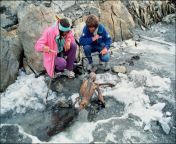 5300 year old body of Ötzi the Iceman when it was discovered in 1991 (1772x1169) from 法国巴黎外围找60小姐62全套服务123选妹薇信；8764603█【高端可选】外围 模特 空姐 学生 资源 等等选择 otzi