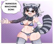 Nanoda power! Kemono Friends fanart, Raccoon Nanoda. Nooty noty on patreon. from noty xxxng