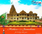 Mathura and Vrindavan are celebrating Janmashtami for 8 days this year from bakabihari ji mharaj vrindavan