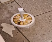 Jeg tog et billede af en toiletbrste p en netcafe s i ikke behver gre det from kerala netcafe mula