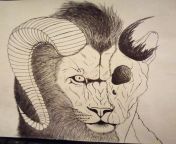 Thoughts? My first real attempt at drawing a lion. from 12 girl cesani lion india xxxkarina