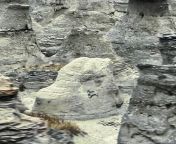 Spotted phallus graffiti on the rocks in Episode 5 at about 16:30 from the legal wife episode 42