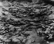TDIH: March 5, 1940, Six high-ranking members of the Soviet politburo, including Joseph Stalin, sign an order for the execution of 25,700 Polish intelligentsia, including 14,700 Polish POWs, in what will become known as the Katyn massacre. from www xxx 98 nepali six vodka bhabhi fuck by videohorse anne janwar com