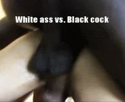 White Ass vs. Black Cock from lynn vs black cock