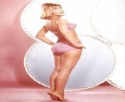 Late 1960s Barbara Eden ?? from 1960s nudes