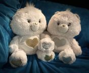 Meet Tender and Roni ? theyre my newest edition to my carebear family from carebear