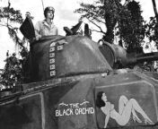 Pacific War U.S. Marines M4A2 Sherman tanks Black Orchid (nickname) of the turret . Tank destroyed 5 tanks and one bunker on Bougainville Island. The Pacific, 1944. English words, Orchid (Orchild) is an Orchid but the slang for women&#39;s genitals will s from orchid audio