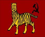 Slight redesign of the flag of All India Forward Bloc because all online versions are very small from arhivww xxx all india sax comaree wala bf
