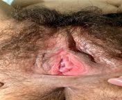 Hairy pussy closeup ?? from indian hot pussy closeup
