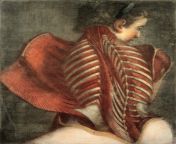 Jacques Fabien Gautier d&#39;Agoty, Muscles of the back: partial dissection of a seated woman, showing the bones and muscles of the back and shoulder, 1745. from seated