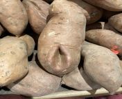 Inspired by the sexy sweet potato, heres another nsfw sweet potato from kemekatkr xxxw wapin sexy sweet aunty