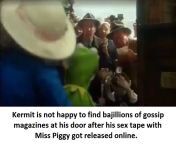 Kermit didn&#39;t know that there was a hidden camera from bond sex video girl hidden camera in