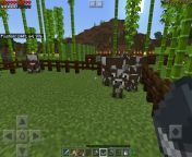 Ive just discovered that Minecraft can have threesomes, if you breed 3 animals together at the same time, they produce 2 kids. Didnt know what other flair to use from minecraft milk