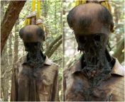 suicide victim at Aokigahara forest in japan from forest gangbang japan girl
