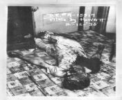 Vintage crime scene: suicide by shotgun (graphic). February 12, 1935 in Los Angeles, Californiaan unidentified man is found following his suicide by shotgun from vintage farm scene