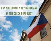 Legalization Prague from bisexual czech prague goes grayz