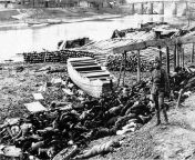 Bodies of victims along the Qinhuai River, out of Nanjing&#39;s west gate during the Nanking Massacre, also k own as the Rape of Nanjing. The Japanese killed 200,000 civilians in the span of 6 weeks. from rape of ticher