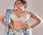 Anupma Agnihotri Latest Hot Navel Show In Sexy Bikini Photos from shweta changappa hot navel show in maja takies