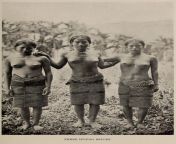 Three Ifugao Females (Univ. Calif. Archives) from univ ofsaskatchewandiplomainelectronicengineering🌟网址：zjw211 com🌟
