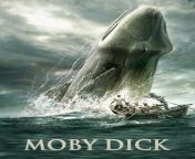 Moby Dick (Moby-Dick Rule 34) from ax moby