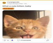 &#34;Comma baby&#34;, eh? And the first pic was a cat making a suspiciously ahegao-like face, ah? Well, I checked OP&#39;s profile - it&#39;s all porn to porn-related Subs! from sophia brownlee all porn