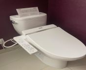 I actually enjoyed peeing in a toilet ? from bangla xmovi peeing in toilet