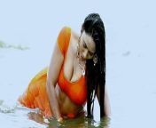 Megana chowdary hot babe? from hindu chowdary