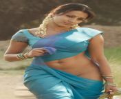 Trisha Krishnan from trisha navel scenes