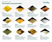 A cool guide that describes different types of cannabis concentrates from israili army