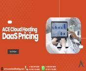 DaaS Pricing from oasi daas